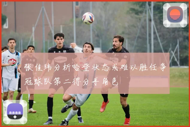 张佳玮分析哈登状态或难以胜任争冠球队第二得分手角色