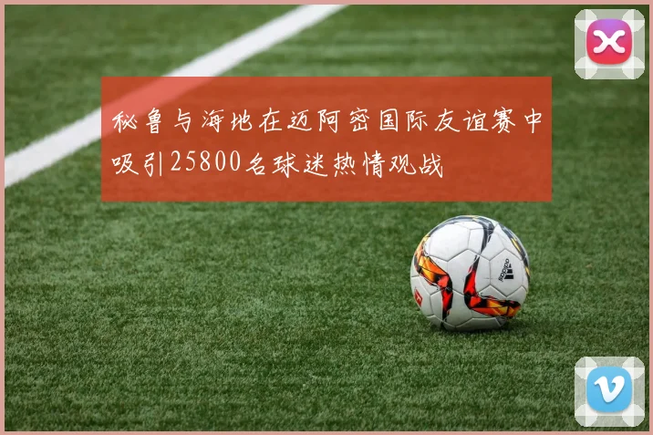 秘鲁与海地在迈阿密国际友谊赛中吸引25800名球迷热情观战